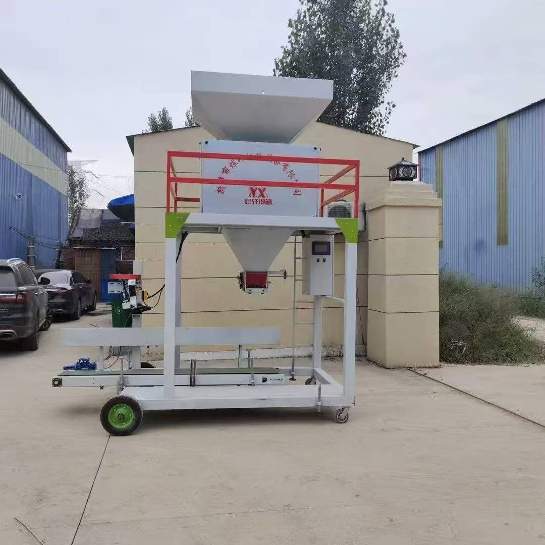 Dual-Operator Electric Bagging Scale